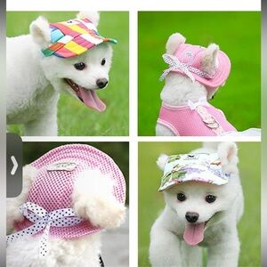 Pet Round Brim Princess Cap Visor Hat (DOG)
Sz-L